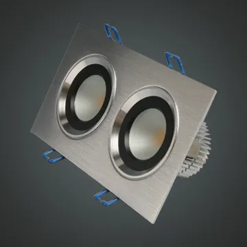 LED Ceiling Light with Two Lights