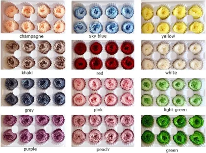 High Quality A Grade Peony Preserved David Austin Roses