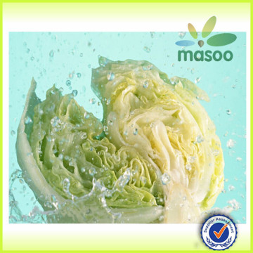 Bulked Chinese Fresh cabbage for sale, fresh vegetables, good quality