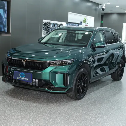 2024 Affordable Ultra-Long Range Electric Cars: Voyah Free New Energy Vehicles