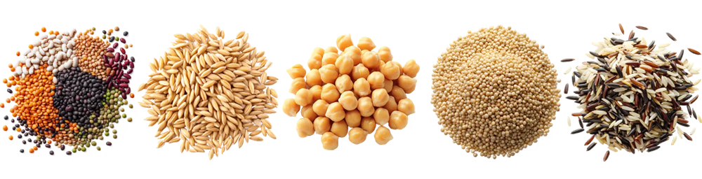 Automatic Bagging Machine