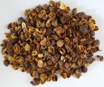 new crop coffee beans