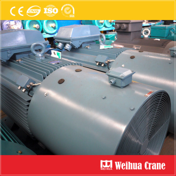 Crane and Hoist Motors