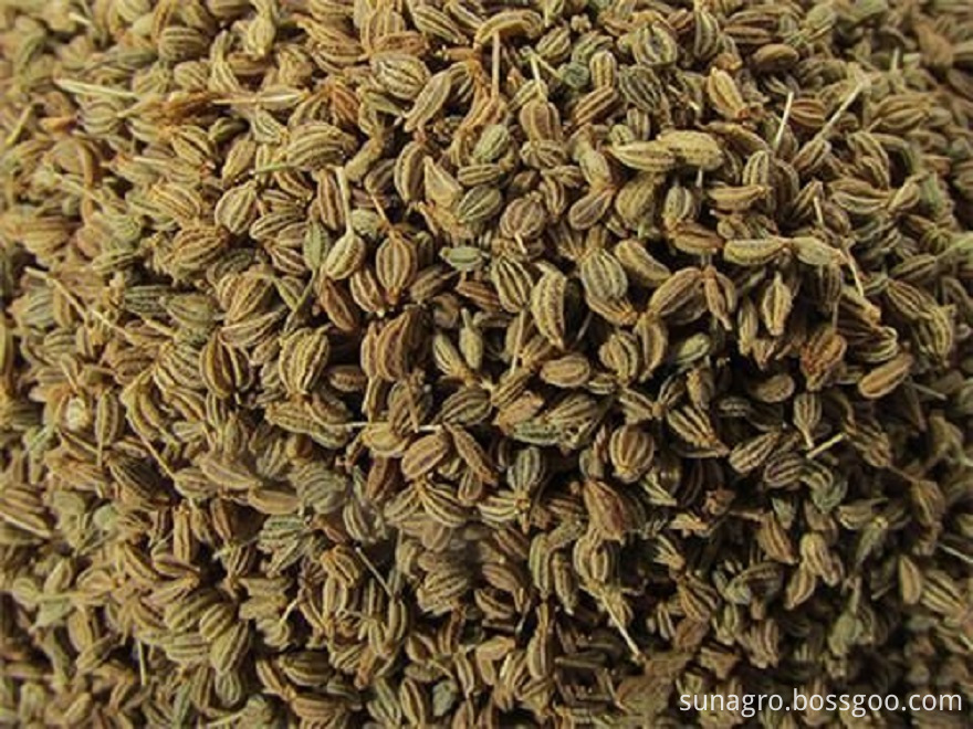 Pollution-Free Natural Dried Fennel