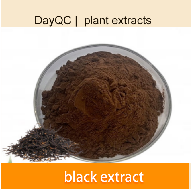 Extracto de té negro en polvo Extracto de té negro