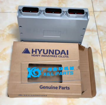 ECM ECU Motorsteuereinheit für Hyundai Baggermaschinenteile