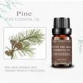 Pinho natural de grau 10ml terapêutico 85% de óleo essencial