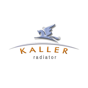 SARS-CoV-2 Antigen Rapid Tests 20 Single Pack Tests ceshi kucun