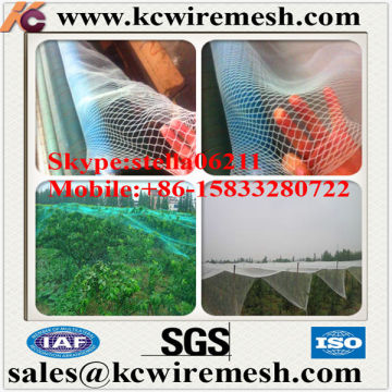 Factory!!!! Here!!!!! Transparent color hail mesh net in PE material