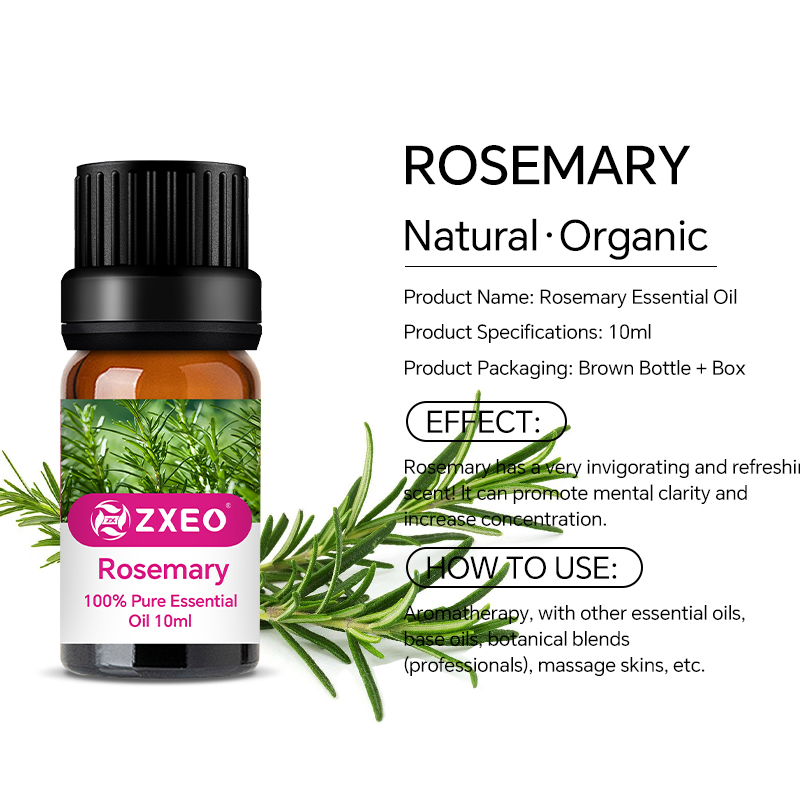 Rosemary Essential Oil Suero para mujeres Aceite de tratamiento para el cabello de etiqueta privada para productos de aceite de crecimiento de cabello calvo