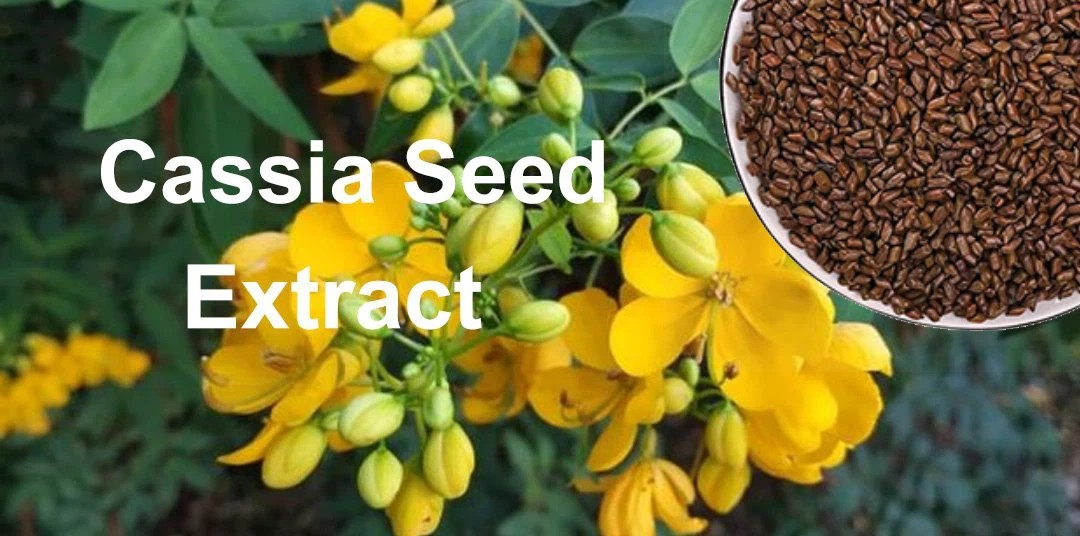 Cassia Extract