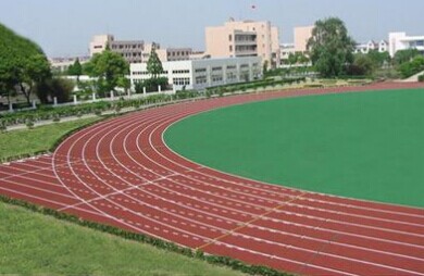 Polyurethane Adhesive Rubber Running Track