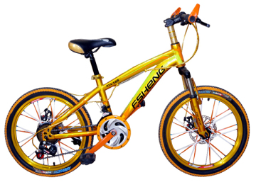 12 Inch Smart Folding Bicycle for Adult