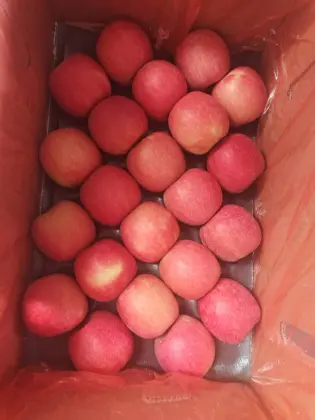 Red Lady Fresh Apples