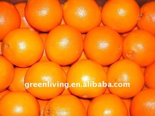fresh Chinese Tangerine