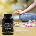 개인 레이블 KSM 66 Ashwagandha Capsules Mood Enhancer