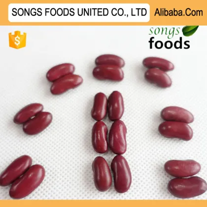 Red Beans Kidney Beans New Crop