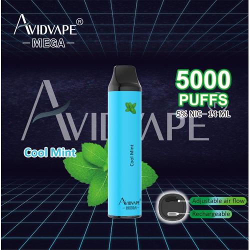 Avidvape có thể sạc lại 5% 5000 puffs