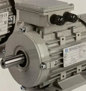 MS Serie Three Phase motors