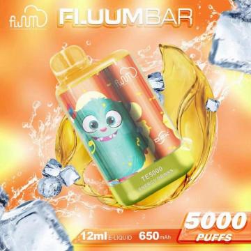 맞춤형 라벨 엘프 바 TE5000 Fluum Bar ODM