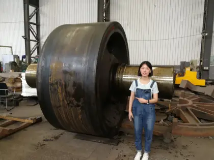 Cement Plant Rotary Kiln Support Roller with Mounted Bearings