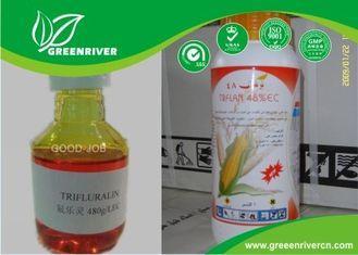 Acetochlor Select Herbicide 34256-82-1 , Pre Emergent Herbi