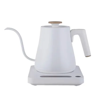 Customized Brand Electric Kettle with Gooseneck Spout