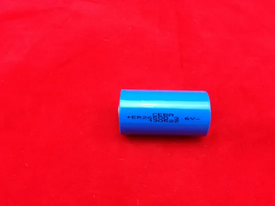 ER26500 Lithium Disposable Battery 9V 1000 mAh
