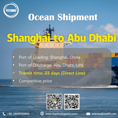 Servizi logistici di Shanghai ad Abu Dhabi