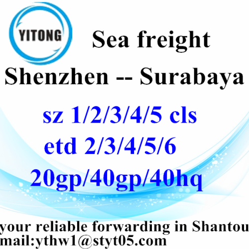 Shenzhen Cargo shipping agent Shipping to Surabaya