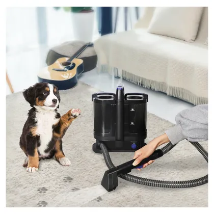 2024 Factory Supplier Wet Vacuum Cleaner for Mattress, Carpet, and Sofa Stains