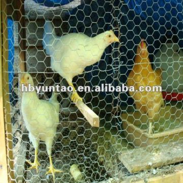 ISO 9001 and factory price chicken wire
