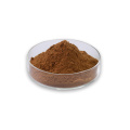 High Purity Pleurotus Ostreatus Extract Pleurotus ostreatus extract polysaccharide Supplier