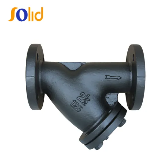 Carbon Steel Double Flange Class150 Y Stainer