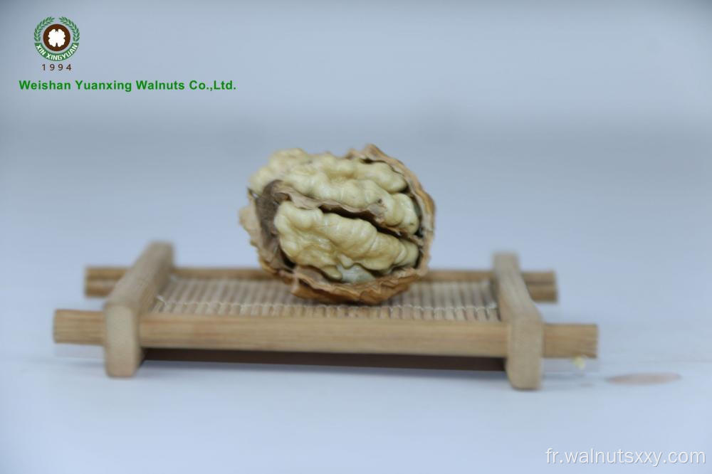 Profitez des noyaux de noix chinois les moitiés légères, profitez de votre vie