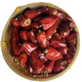 Rotes Paprika-Granulat