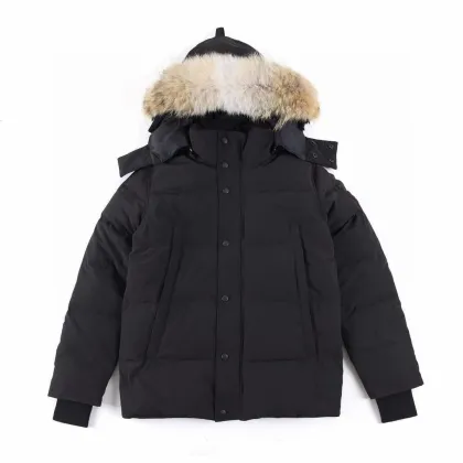 Winter Windproof Down Jacket Canadian Goose Hooded Coat for Men and Women