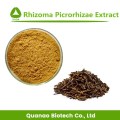 Rhizoma Picrorhize Goldthread Rhizome Extrato em pó