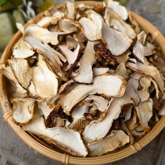 Matsutake Mushroom