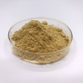 Microbial Rennet Cheese Chymosin Rennet