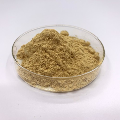 Microbial Rennet Cheese Chymosin Rennet