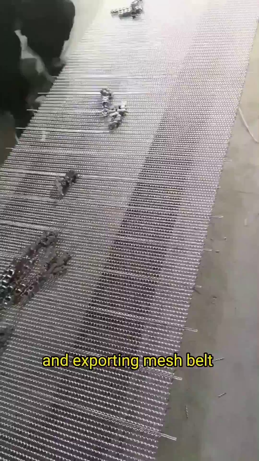 Stainless Steel Chain Roller Conveyor Belt for Food Industry