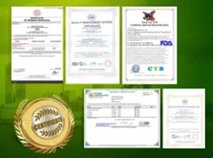 High Quality Chia Seed Extract powder