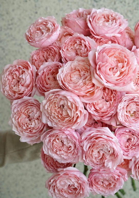 Juliet Multi Headed Roses