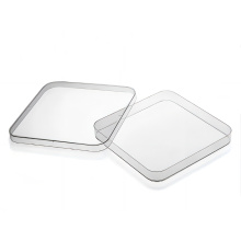 Square Petri Dish, 100 x 100m isina grid