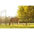 Galvanized Movable Horse Fence for Farm Animal