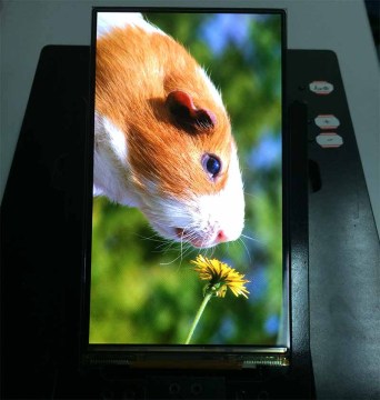 5.5″ Full HD 1080p 1080×1920 AMOLED for Mobile Phone