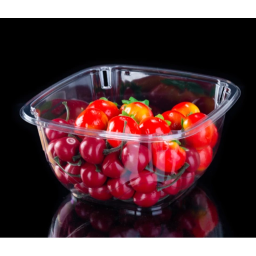 High quality fruit plastic tray