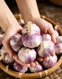 Strong Pungent Purple Skinned Garlic