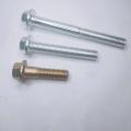 Hex Left Hand Thread Flange Bolts